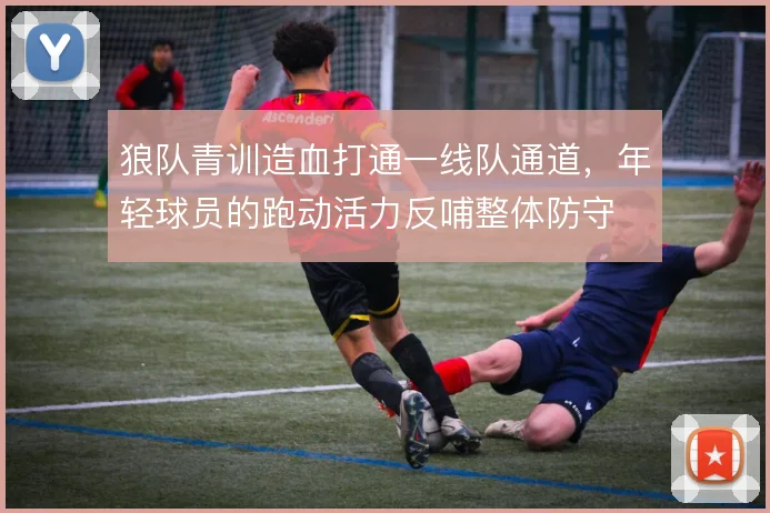 狼队青训造血打通一线队通道，年轻球员的跑动活力反哺整体防守